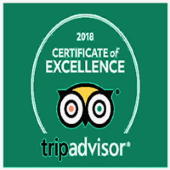 go-travel-egypt-on-tripadvisor